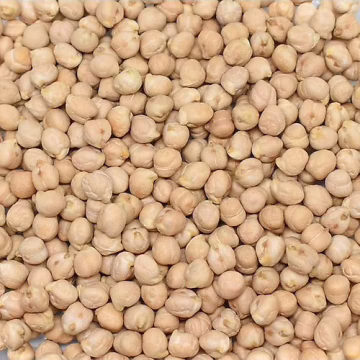 Nohut 8 mm